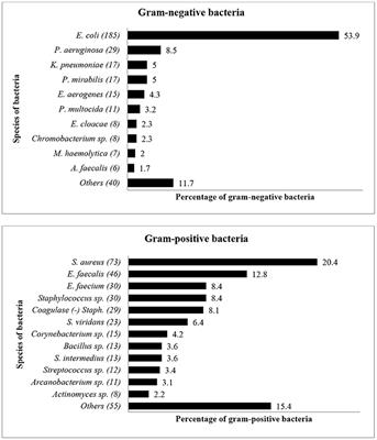 High Levels of Antibiotic Resistance in Isolates From Diseased Livestock